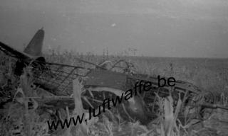Imagine atasata: s_066_sp_destroyed_fighter_crimea_41_77_4.jpg