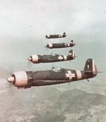 Imagine atasata: IAR80_Colour_Narrow_Denes.jpg