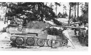 Imagine atasata: panther_D_Ardeeni44_45.JPG