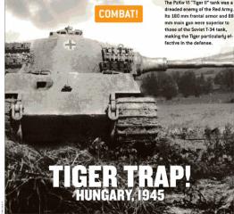 Imagine atasata: tiger_trap.jpg