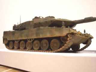 Imagine atasata: leopard2.jpg
