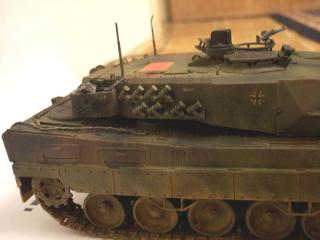 Imagine atasata: leopard3.jpg