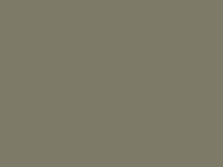 Imagine atasata: OLIVEDRAB.jpg