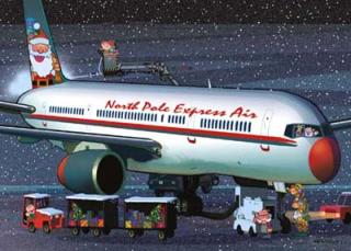 Imagine atasata: airplane_christmas_cards.jpg
