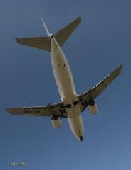Imagine atasata: IMG_1869_1.jpg