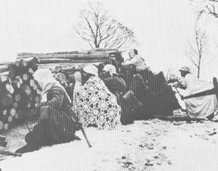 Imagine atasata: 022_camuflaj.jpg