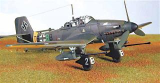 Imagine atasata: Stuka_Aca.jpg