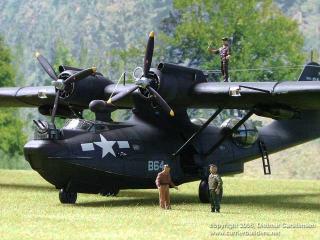 Imagine atasata: Black_Catalina.jpg