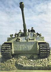 Imagine atasata: Tigru_origa1.jpg