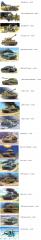 Imagine atasata: AMICUL_W.gif