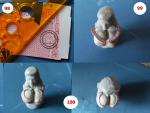 F (31)